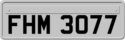 FHM3077