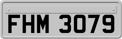 FHM3079