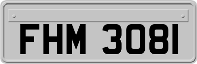 FHM3081