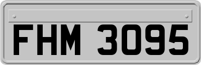 FHM3095