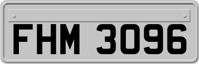 FHM3096