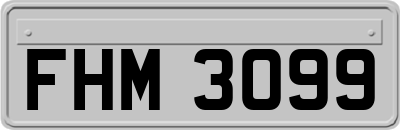 FHM3099