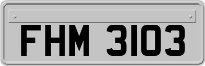 FHM3103