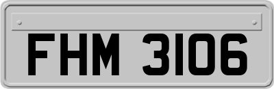 FHM3106