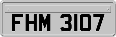 FHM3107
