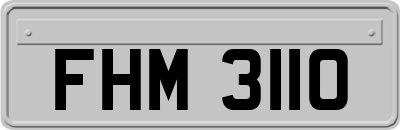 FHM3110