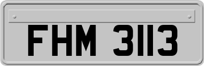 FHM3113