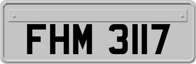 FHM3117