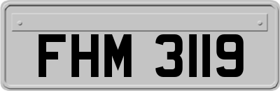 FHM3119