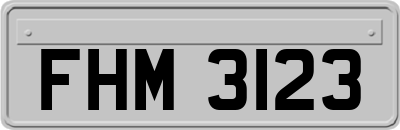 FHM3123