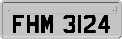 FHM3124