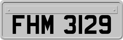 FHM3129