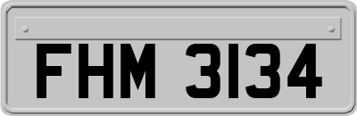 FHM3134