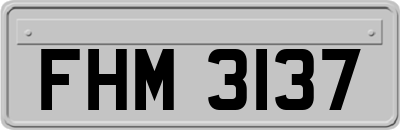 FHM3137