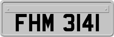 FHM3141