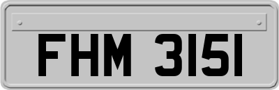FHM3151