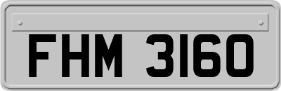 FHM3160