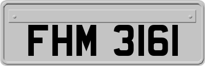 FHM3161