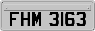 FHM3163