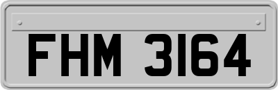 FHM3164