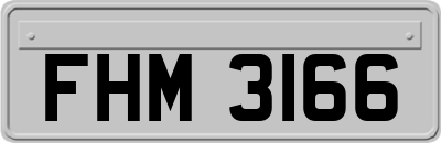 FHM3166