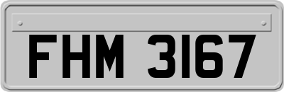 FHM3167