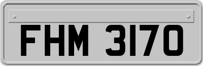 FHM3170