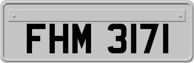 FHM3171
