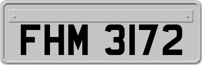 FHM3172