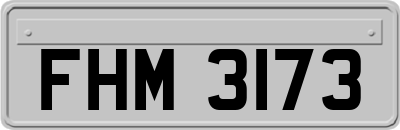FHM3173