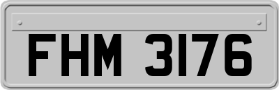 FHM3176