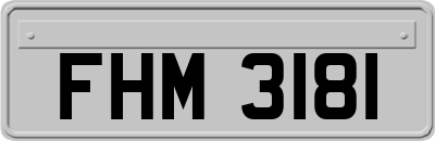 FHM3181