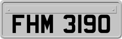 FHM3190