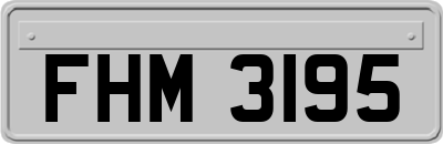 FHM3195