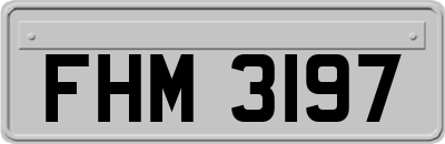 FHM3197