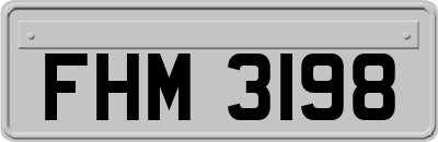 FHM3198