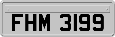 FHM3199