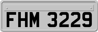 FHM3229