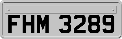 FHM3289