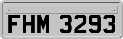 FHM3293