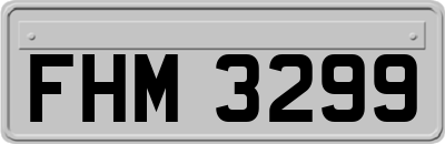 FHM3299