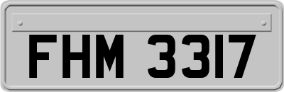 FHM3317