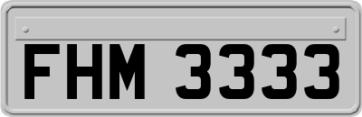 FHM3333