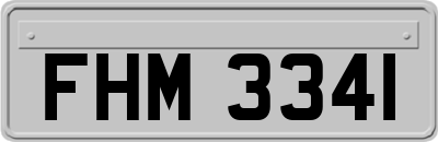 FHM3341