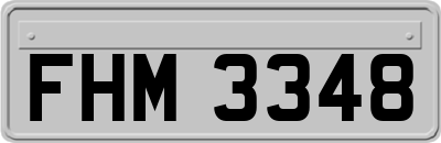 FHM3348
