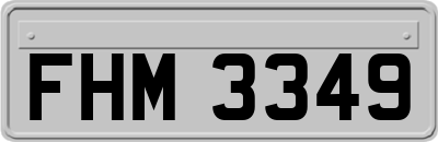 FHM3349