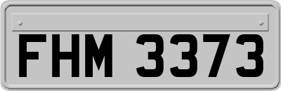 FHM3373