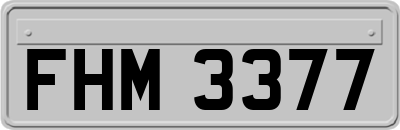 FHM3377