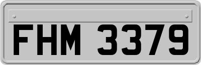 FHM3379
