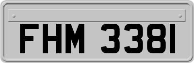 FHM3381